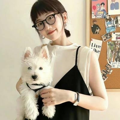 局内者们